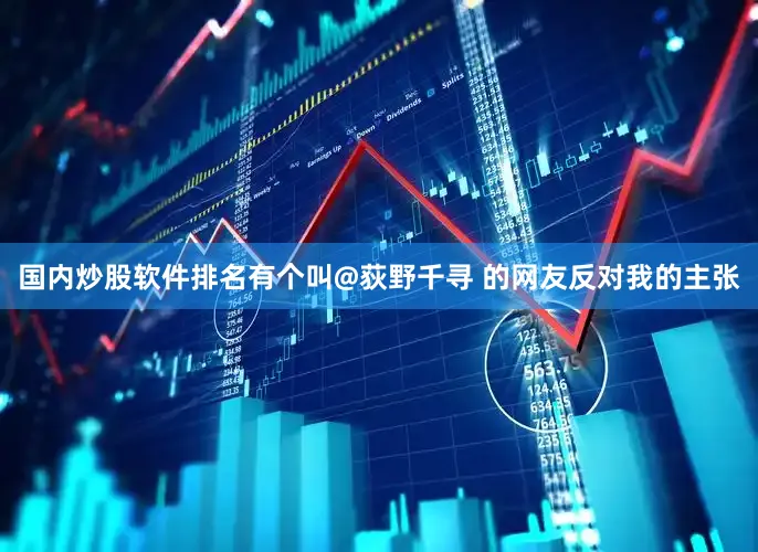 国内炒股软件排名有个叫@荻野千寻 的网友反对我的主张