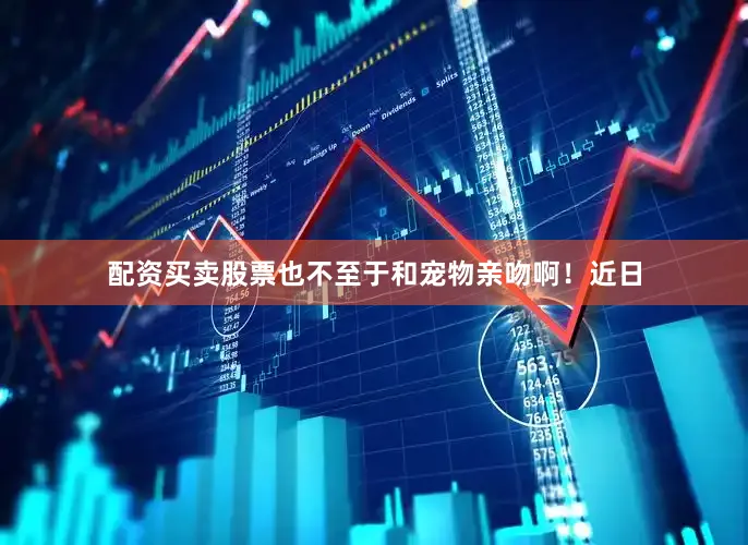 配资买卖股票也不至于和宠物亲吻啊！近日