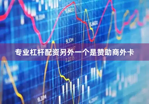 专业杠杆配资另外一个是赞助商外卡