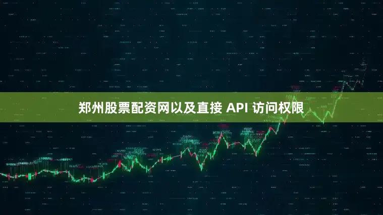 郑州股票配资网以及直接 API 访问权限