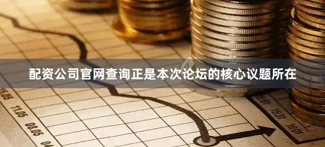 配资公司官网查询正是本次论坛的核心议题所在