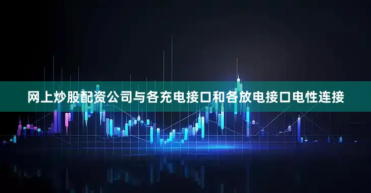 网上炒股配资公司与各充电接口和各放电接口电性连接